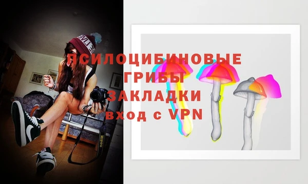 индика Алзамай