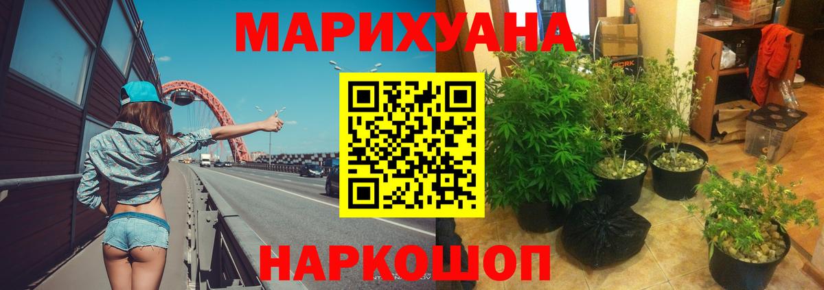 Люберцы  МАРИХУАНА сатива  Конопля план  Марихуана тримм  Бошки Шишки Amnesia  Вход с VPN 